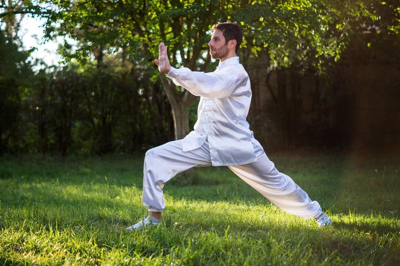 Tai Chi Chen Style Image